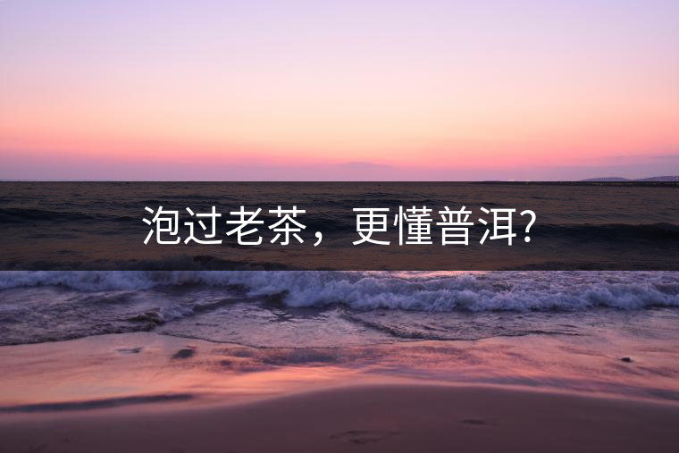 泡過(guò)老茶，更懂普洱?