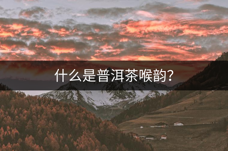 什么是普洱茶喉韻？