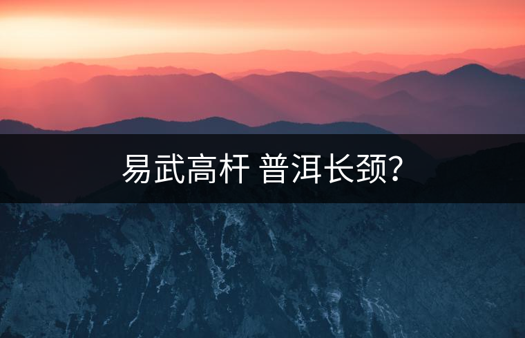 易武高桿 普洱長頸？