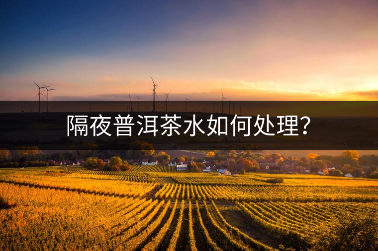 隔夜普洱茶水如何處理？