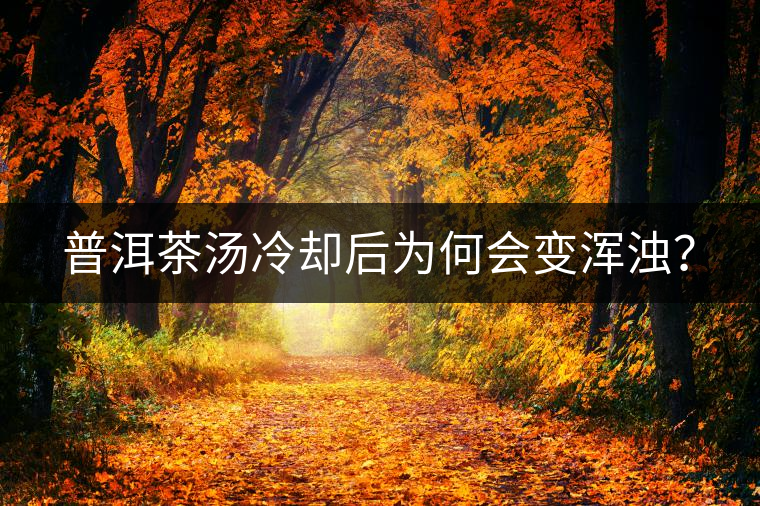 普洱茶湯冷卻后為何會變渾濁？