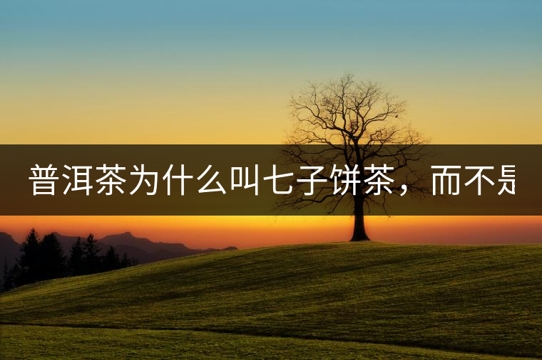 普洱茶為什么叫七子餅茶，而不是六子餅、八子餅......？