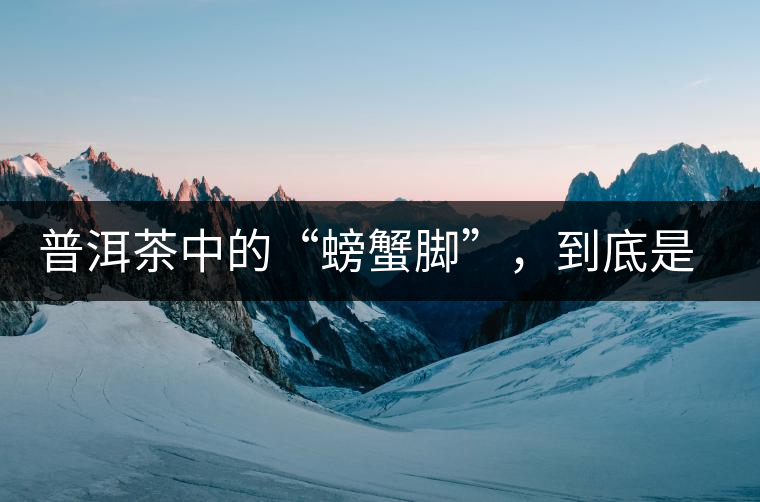 普洱茶中的“螃蟹腳”，到底是什么？如何辨別？