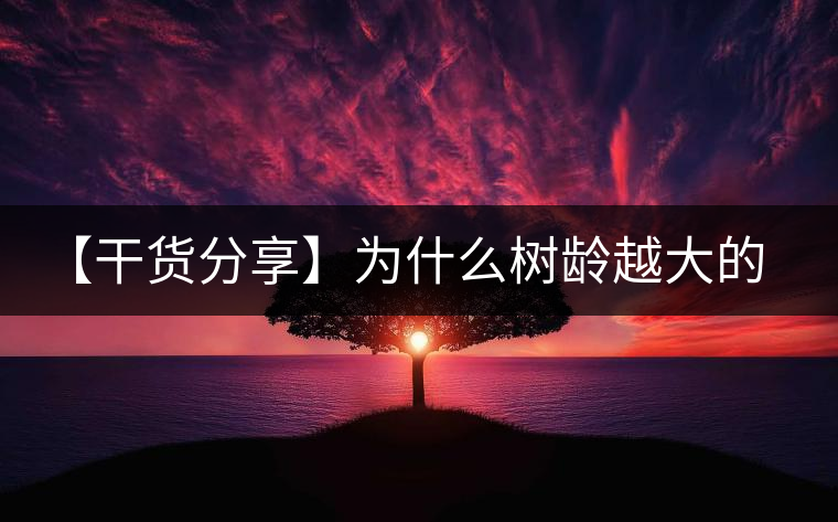 【干貨分享】為什么樹齡越大的普洱生茶，苦味越容易化掉？