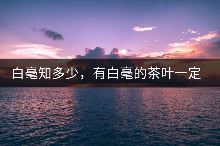 白毫知多少，有白毫的茶葉一定好嗎？