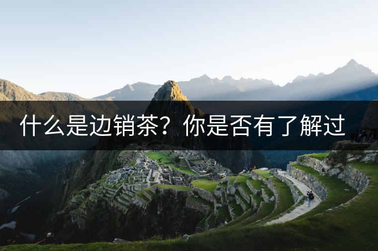 什么是邊銷茶？你是否有了解過邊銷茶呢？