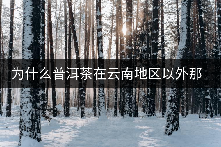 為什么普洱茶在云南地區(qū)以外那么受歡迎？