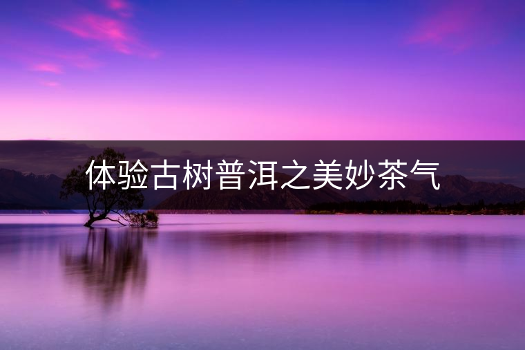 體驗古樹普洱之美妙茶氣 體驗古樹普洱之美妙茶氣