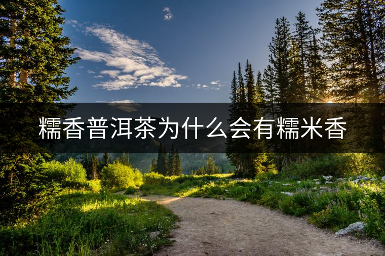 糯香普洱茶為什么會(huì)有糯米香