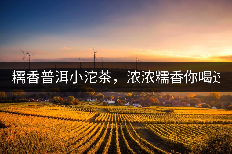 糯香普洱小沱茶，濃濃糯香你喝過(guò)嗎？