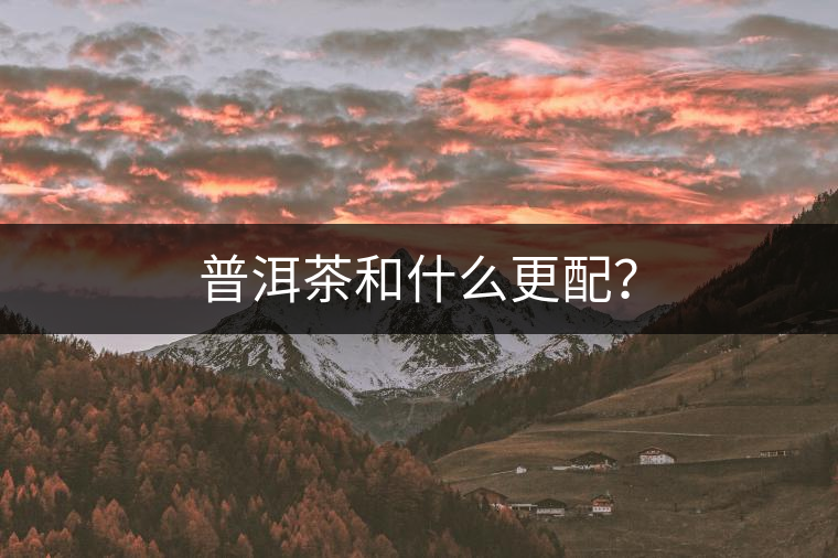 普洱茶和什么更配？