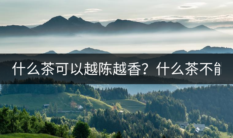 什么茶可以越陳越香？什么茶不能？