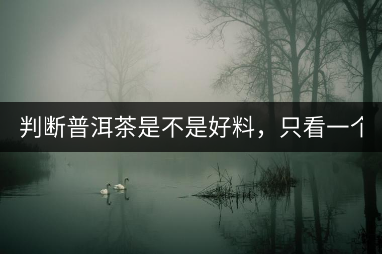 判斷普洱茶是不是好料，只看一個(gè)地方！