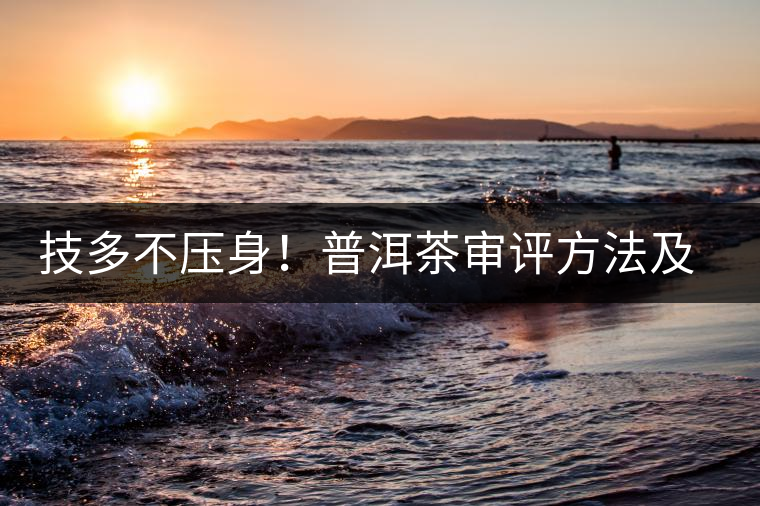 技多不壓身！普洱茶審評方法及專業(yè)術語大全（下）