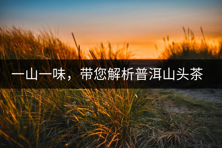 一山一味，帶您解析普洱山頭茶的密碼究竟是什么？