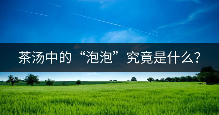 茶湯中的“泡泡”究竟是什么？