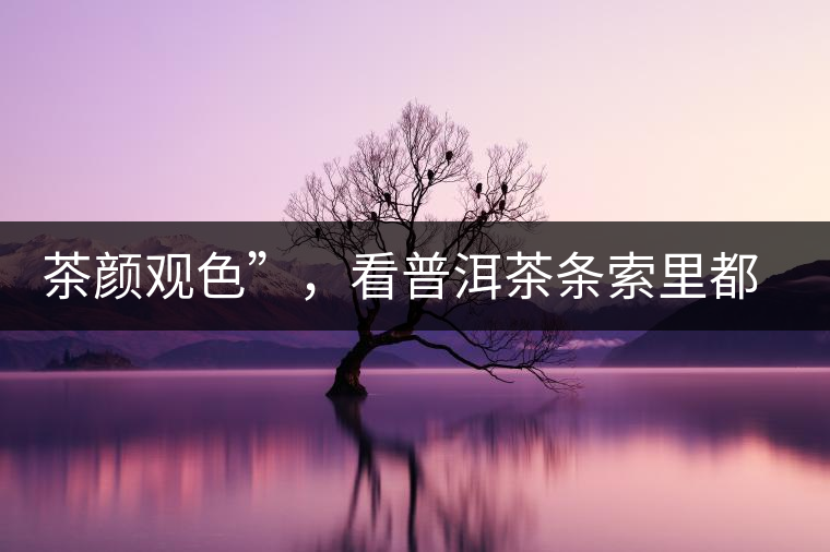茶顏觀色”，看普洱茶條索里都蘊含著怎樣的“密碼”？