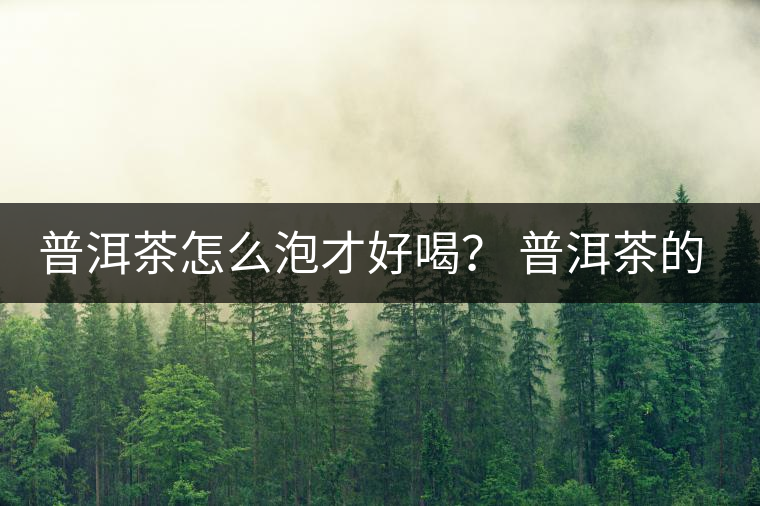 普洱茶怎么泡才好喝？ 普洱茶的沖泡技巧！
