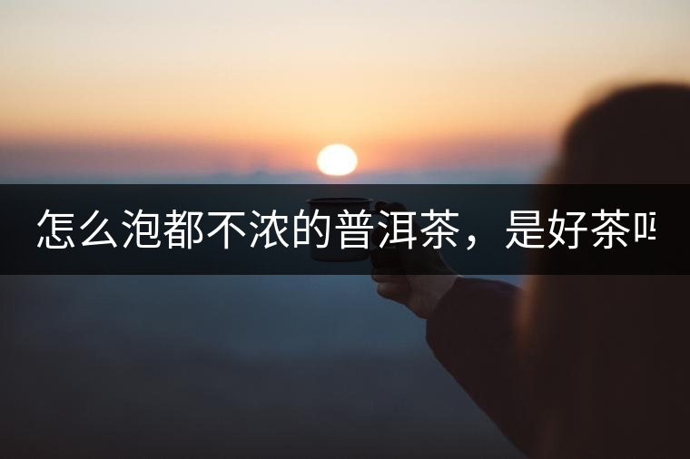 怎么泡都不濃的普洱茶，是好茶嗎？