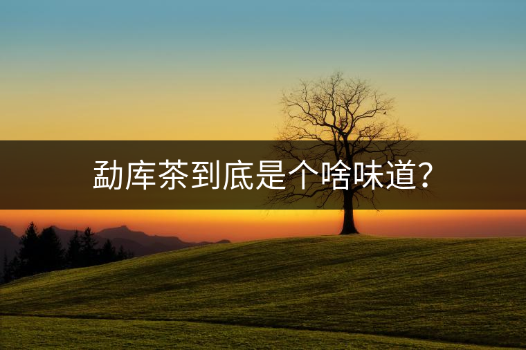 勐庫茶到底是個(gè)啥味道? 勐庫茶到底是個(gè)啥味道?