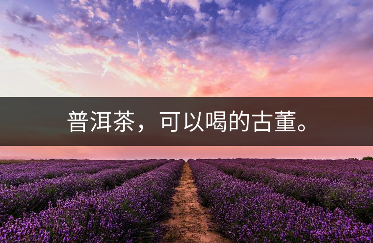 普洱茶，可以喝的古董。