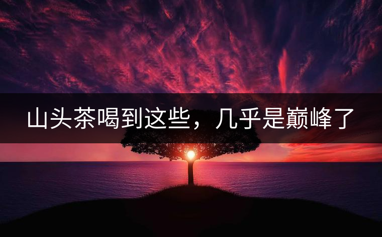 山頭茶喝到這些，幾乎是巔峰了