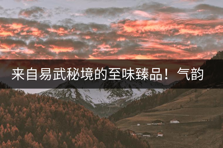 來(lái)自易武秘境的至味臻品！氣韻強(qiáng)勁，余韻深邃，一口喚醒你的味蕾~