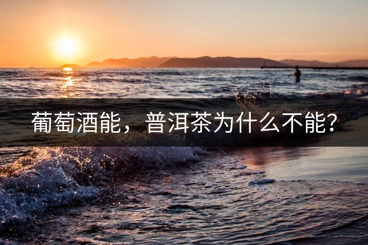 葡萄酒能，普洱茶為什么不能？