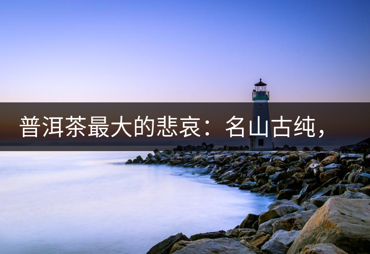 普洱茶最大的悲哀：名山古純，高端熟茶的未來在哪里？