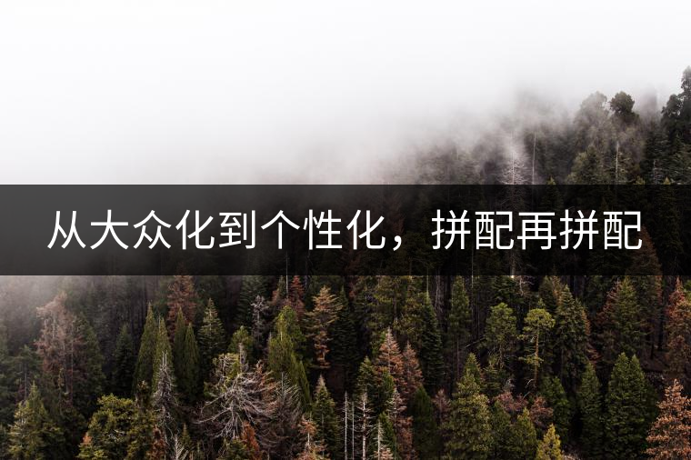 從大眾化到個性化，拼配再拼配