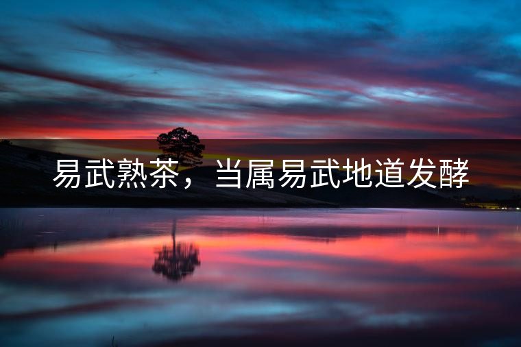 易武熟茶，當(dāng)屬易武地道發(fā)酵