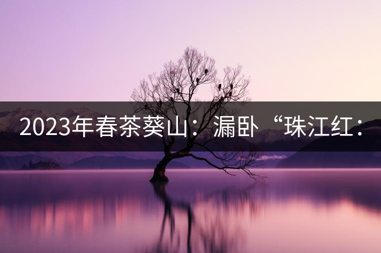 2023年春茶葵山：漏臥“珠江紅：1200元-3200元（有3個檔次）漏臥“大廠茶”：古樹單株8600-9000元／公斤，中樹4800-5200元／公斤，小樹混采2600-2800元／公斤。