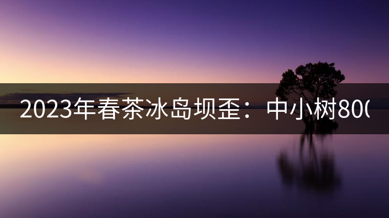 2023年春茶冰島壩歪：中小樹800元／公斤，古樹1400-1600元／公斤