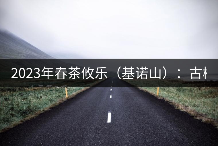 2023年春茶攸樂（基諾山）：古樹1200元／公斤，喬木：400-500元／公斤