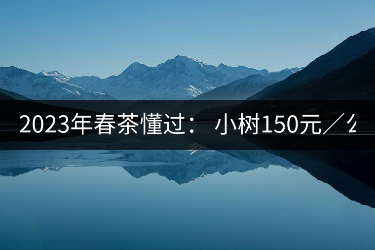 2023年春茶懂過(guò)： 小樹150元／公斤, 古樹400-600元／公斤