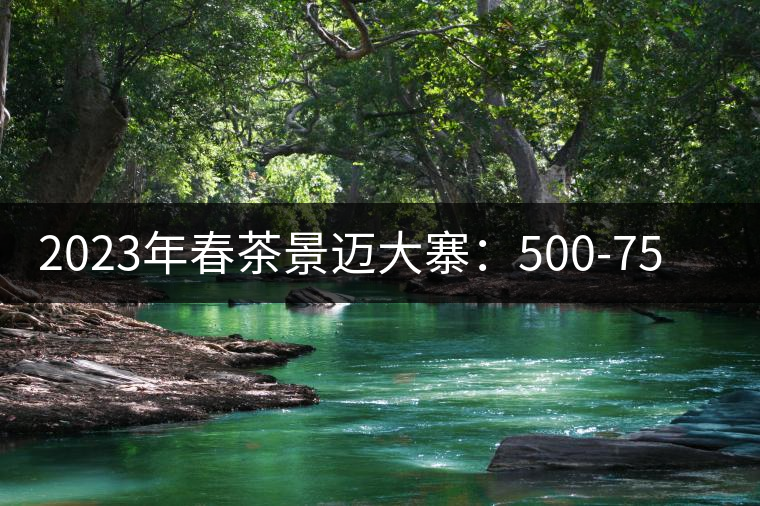2023年春茶景邁大寨:500-750元/公斤 2023年春茶景邁大寨:500-750元/公斤