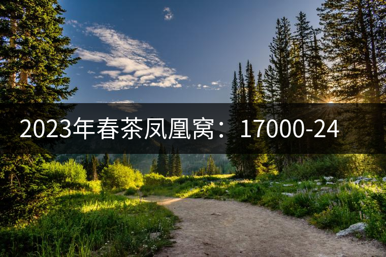 2023年春茶鳳凰窩:17000-24000元/公斤 2023年春茶鳳凰窩:17000-24000元/公斤