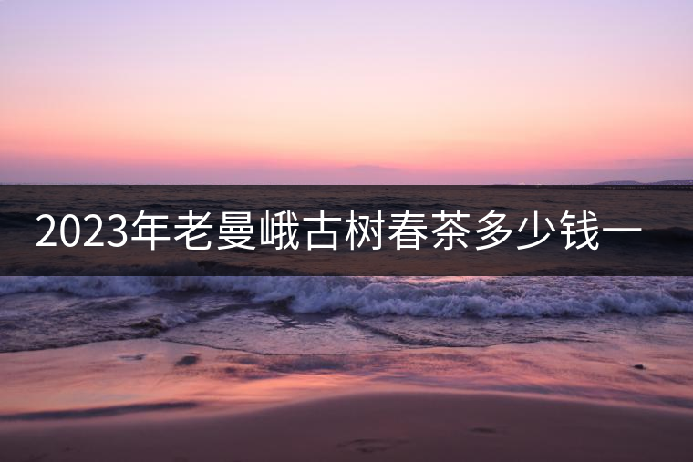 2023年老曼峨古樹春茶多少錢一公斤？