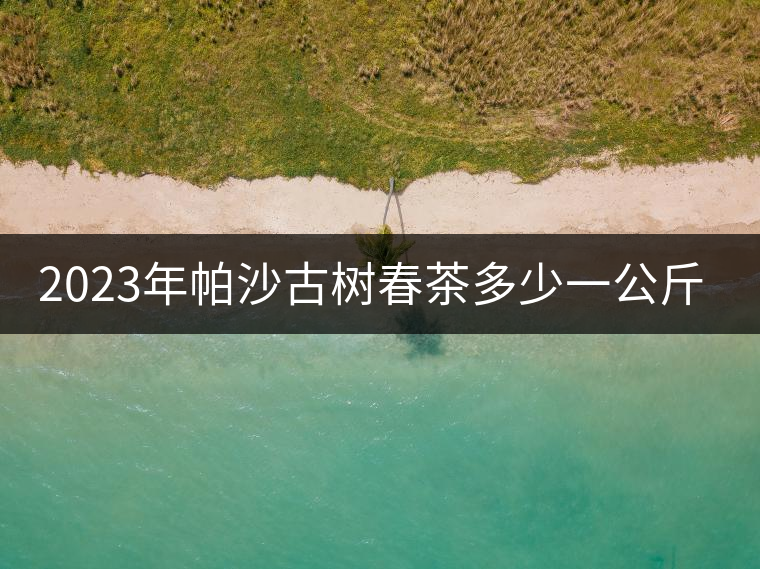 2023年帕沙古樹(shù)春茶多少一公斤? 2023年帕沙古樹(shù)春茶多少一公斤?