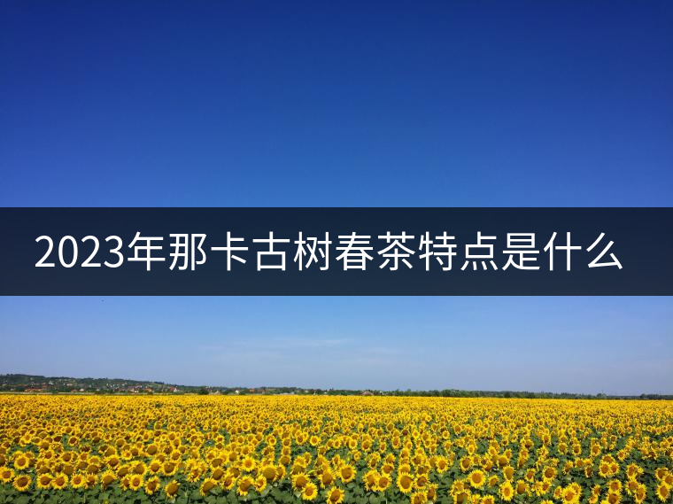 2023年那卡古樹春茶特點是什么？