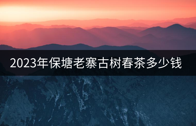 2023年保塘老寨古樹春茶多少錢一公斤？