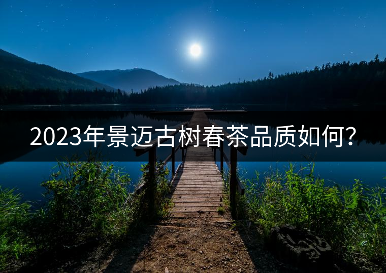 2023年景邁古樹春茶品質(zhì)如何？