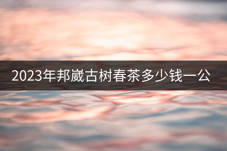 2023年邦崴古樹春茶多少錢一公斤? 2023年邦崴古樹春茶多少錢一公斤?