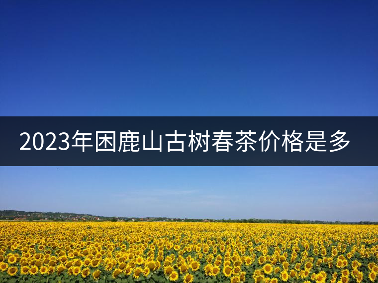 2023年困鹿山古樹春茶價(jià)格是多少？