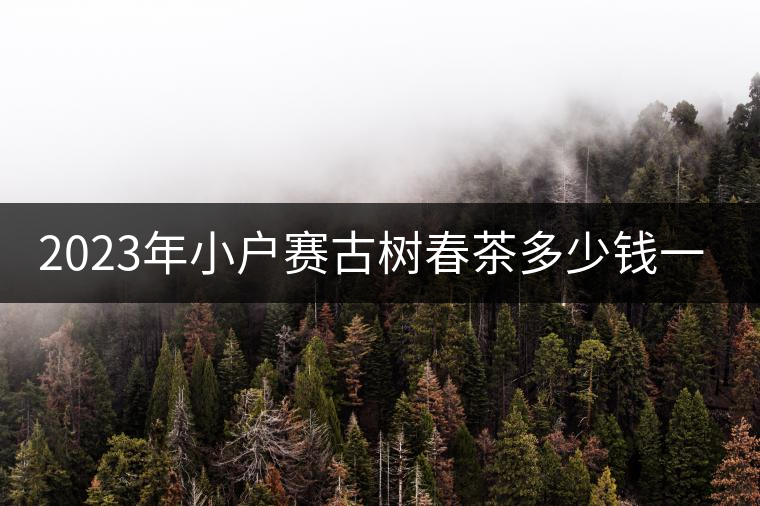 2023年小戶賽古樹(shù)春茶多少錢(qián)一公斤？