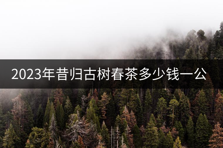2023年昔歸古樹春茶多少錢一公斤？