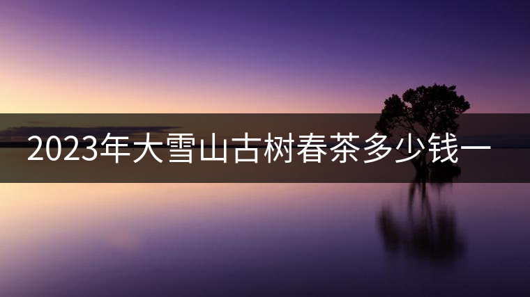 2023年大雪山古樹春茶多少錢一公斤？