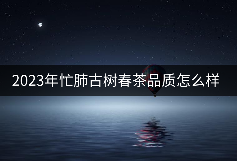 2023年忙肺古樹春茶品質(zhì)怎么樣？