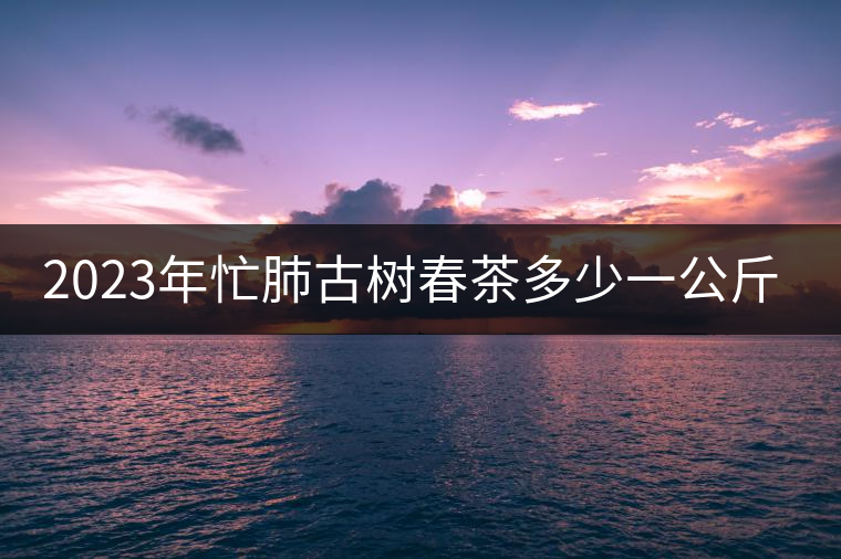 2023年忙肺古樹(shù)春茶多少一公斤？