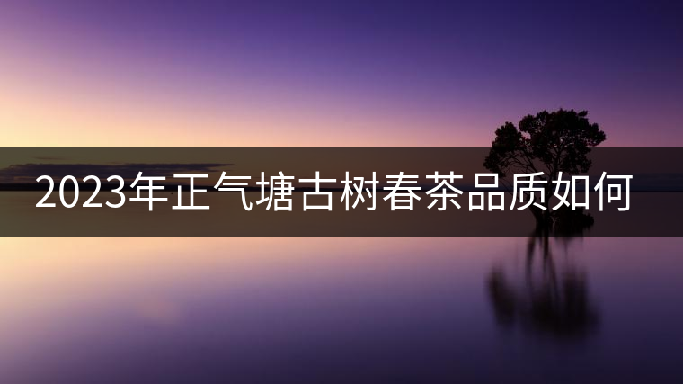 2023年正氣塘古樹春茶品質(zhì)如何? 2023年正氣塘古樹春茶品質(zhì)如何?